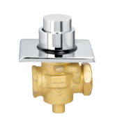 25 mm Flush Valve with Single Flush Chrome Finish F8010107