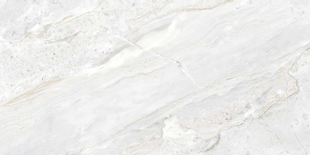 600 X 1200 mm Rizina Grey B Glazed Vitrified Floor Tile - Polished Finish
