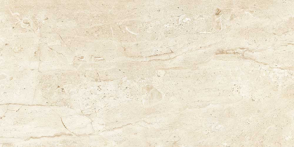 600 X 1200 mm Dyna Glazed Vitrified Floor Tile - Polished Finish