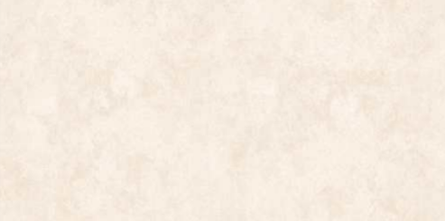 600 X 1200 mm Neutra Bone Glazed Vitrified Floor Tile - Matt Finish