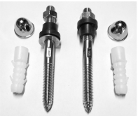 Rag Bolt for Wall Hung Water Closet Matt Finish - B2040101