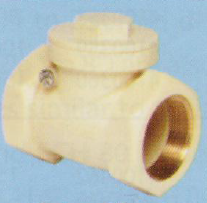 25 mm ASTM High Pressure Swing Check Valve SCH80 4100528