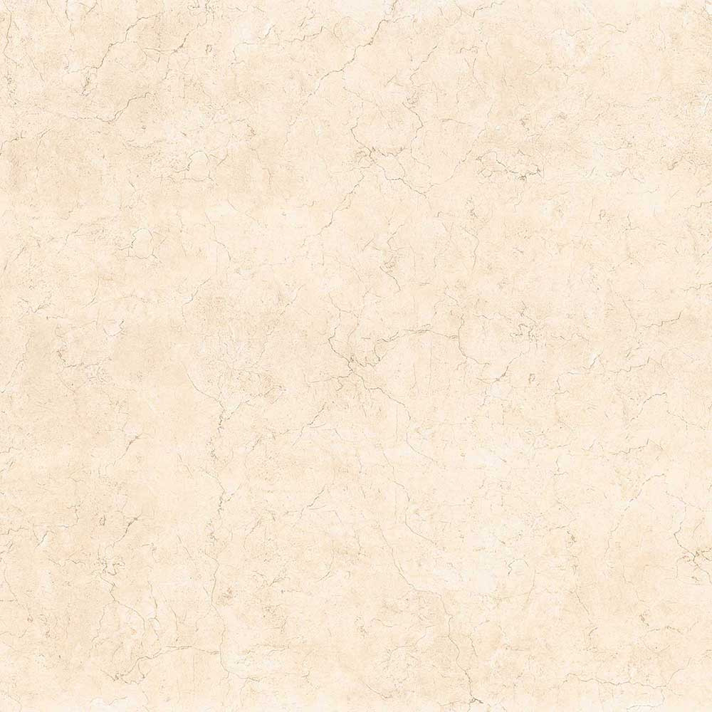 800 X 800 mm Royal Marfil Glazed Vitrified Tile - Marble Tech Finish