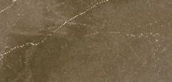 300 X 600 mm Pulpis Bronce Glazed Vitrified Wall Tile - Polished Finish