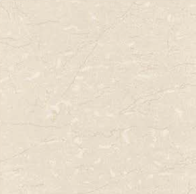 600 X 600 mm Napoles Soluble Salt Vitrified Floor Tiles - Glossy Finish