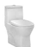 Eden Rimless 620 x 350 x 725mm P Trap (180mm) One Piece Water Closet White - C8963