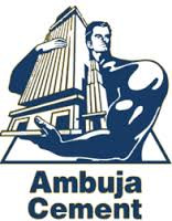 Ambuja PPC Grade Cement (Paper Bag)