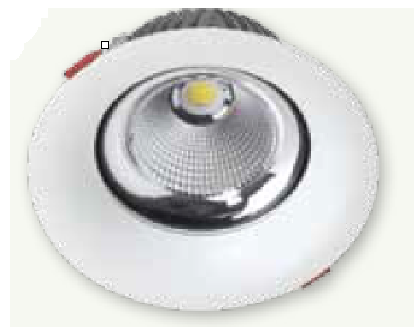 30 W LED Driver - LEDDRIVER30WS