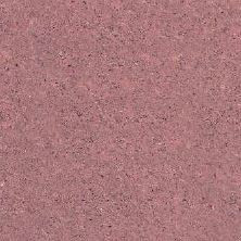 800 X 800 mm Elenta Crimson Double Charged Vitrified Floor Tile - Glossy Finish