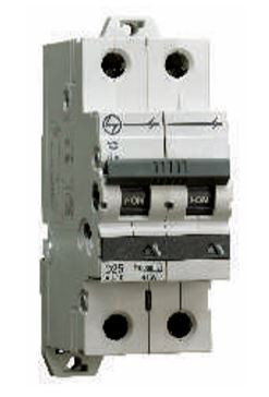 10A Double Pole C Curve MCB - White AU10S20103C