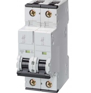 100A Double Pole MCB - White AU15S21003D 100A Double Pole MCB - White AU15S21003D