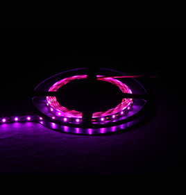 6 W 2835-60 Flexible LED Strip Pink DST 28 P