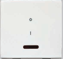 32 A 2 Module Dual Pole Switch with LED Indicator White 289232
