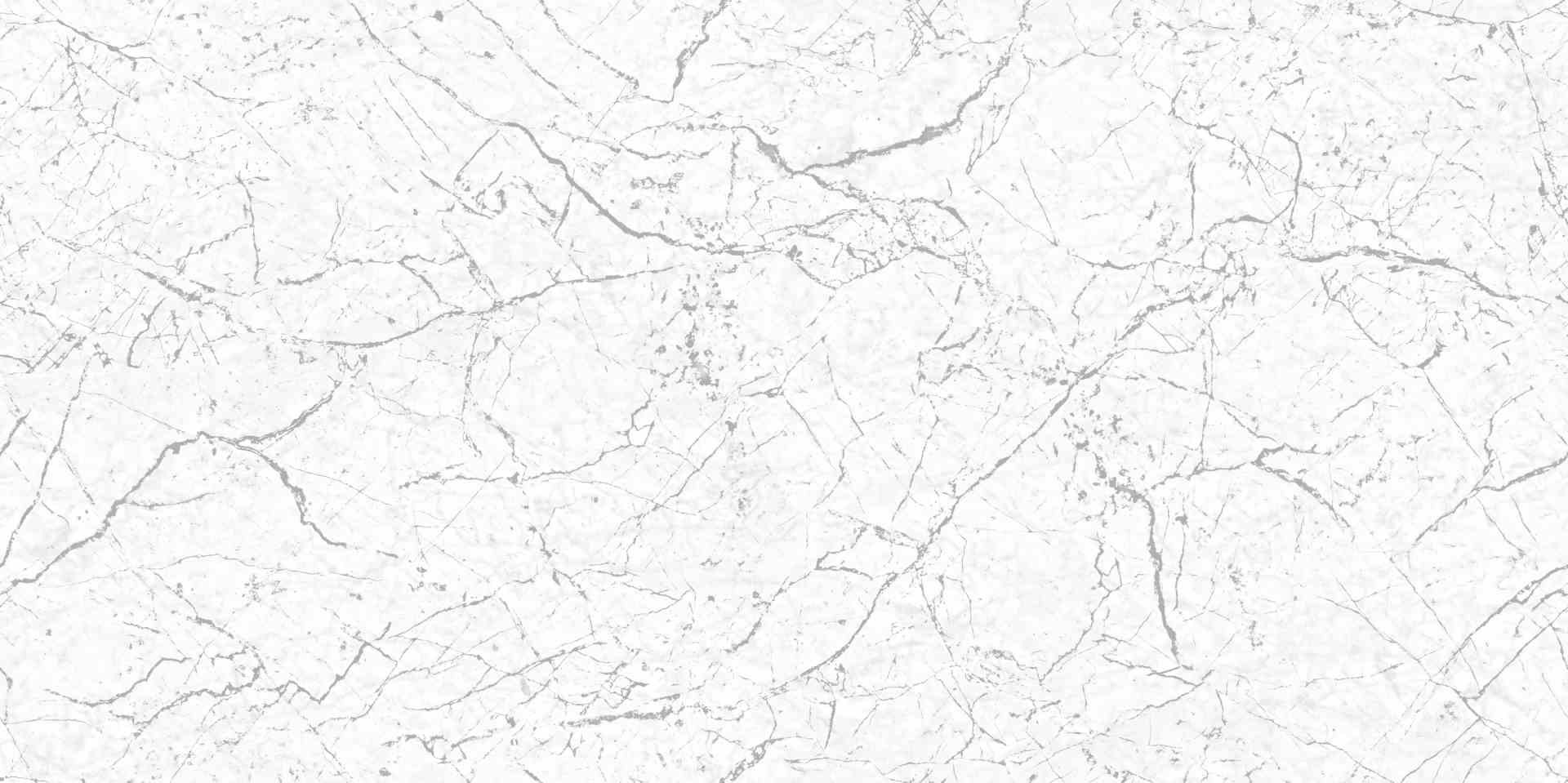 Palatino Plain Colour Wall Paper Grey White PT3008-3